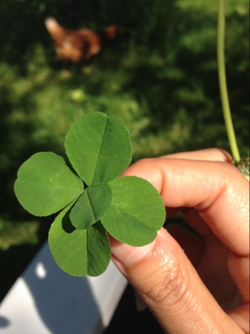 22 cases of incredible luck