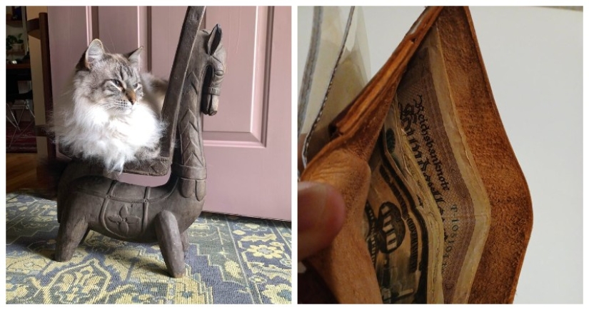 22 cases when it turned out to grab cool things for a low price 22 cases when it turned out to grab cool things for a low price