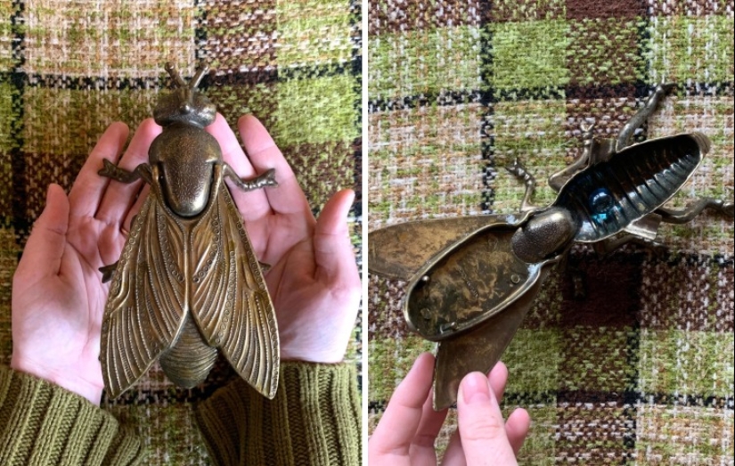 22 cases when it turned out to grab cool things for a low price 22 cases when it turned out to grab cool things for a low price