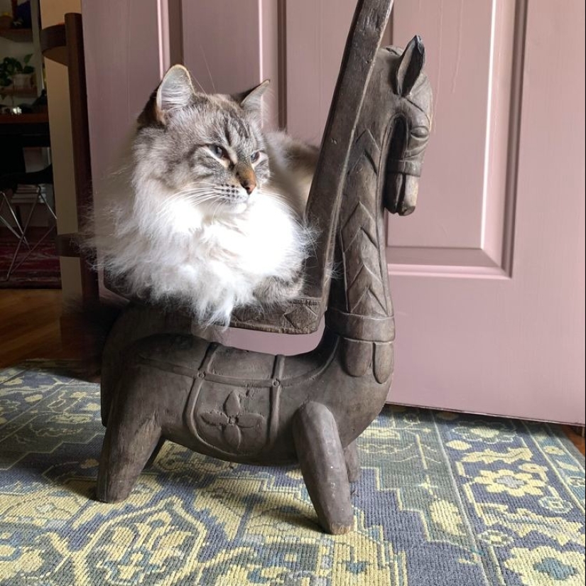 22 cases when it turned out to grab cool things for a low price 22 cases when it turned out to grab cool things for a low price