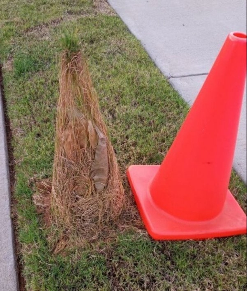 22 cases when the task was extremely simple, but they failed to cope with it 22 cases when the task was extremely simple, but they failed to cope with it