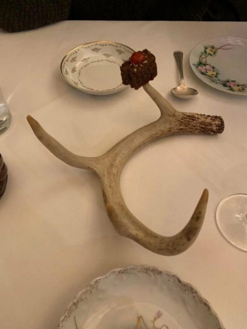 22 casos en los que la tarea era extremadamente sencilla, pero no pudieron afrontarla