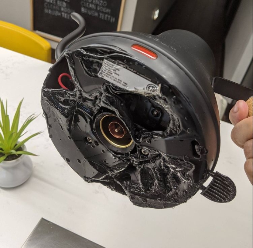 22 casos en los que las personas han sido tan estúpidas que incluso se avergüenzan de ellas 22 casos en los que las personas han sido tan estúpidas que incluso se avergüenzan de ellas