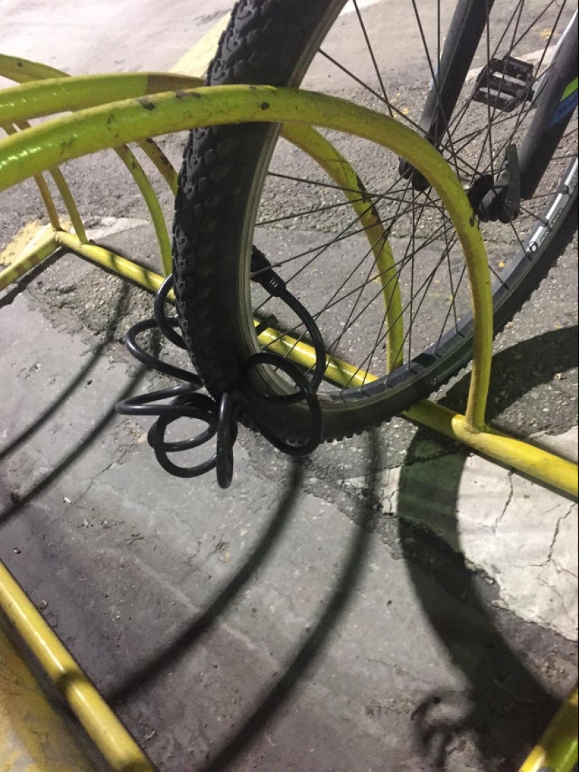 22 casos en los que las personas han sido tan estúpidas que incluso se avergüenzan de ellas 22 casos en los que las personas han sido tan estúpidas que incluso se avergüenzan de ellas