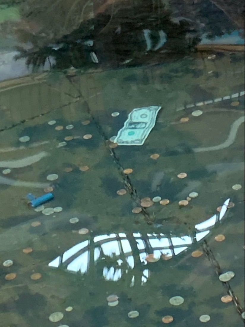 22 casos en los que las personas han sido tan estúpidas que incluso se avergüenzan de ellas 22 casos en los que las personas han sido tan estúpidas que incluso se avergüenzan de ellas