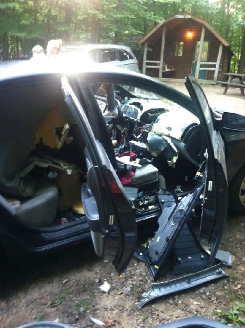 22 casos en los que las personas han sido tan estúpidas que incluso se avergüenzan de ellas 22 casos en los que las personas han sido tan estúpidas que incluso se avergüenzan de ellas