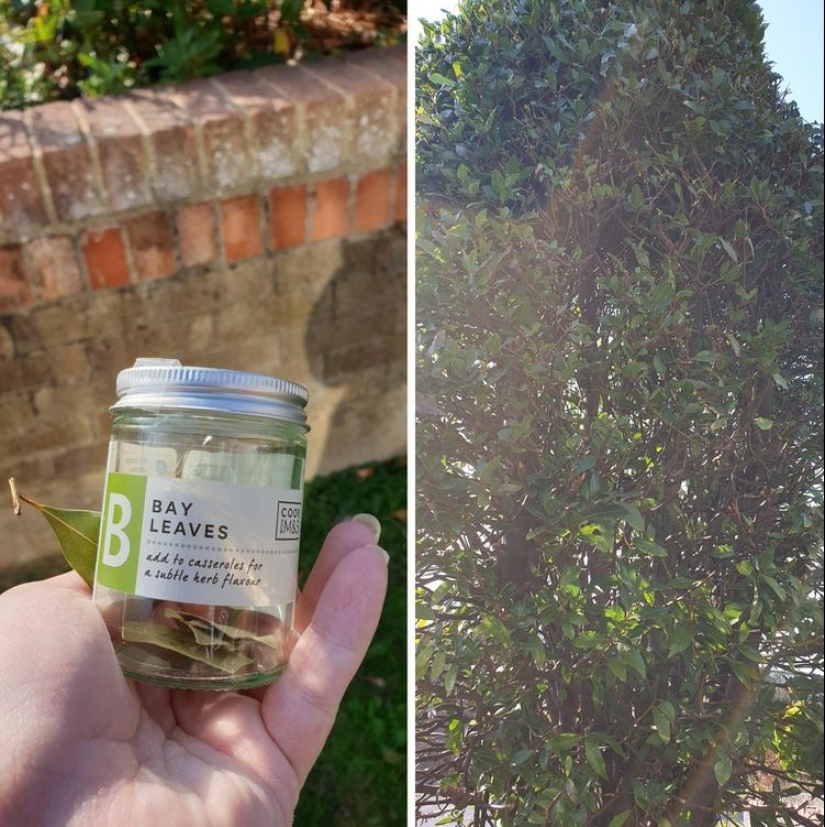 22 casos en los que las personas han sido tan estúpidas que incluso se avergüenzan de ellas 22 casos en los que las personas han sido tan estúpidas que incluso se avergüenzan de ellas