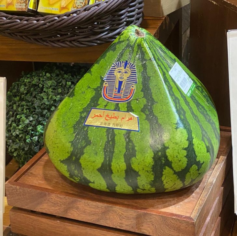 22 cosas increíbles, pero reales que no todo el mundo está destinado a ver en la vida