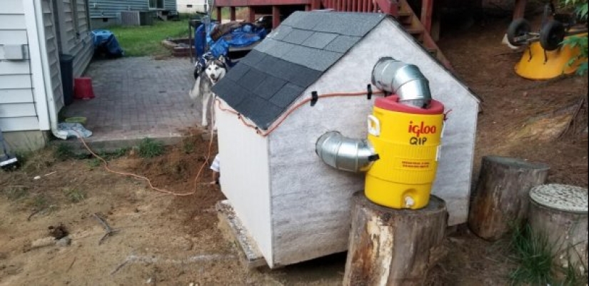 22 cosas inusuales creadas por diseñadores y artesanos para animales 22 cosas inusuales creadas por diseñadores y artesanos para animales