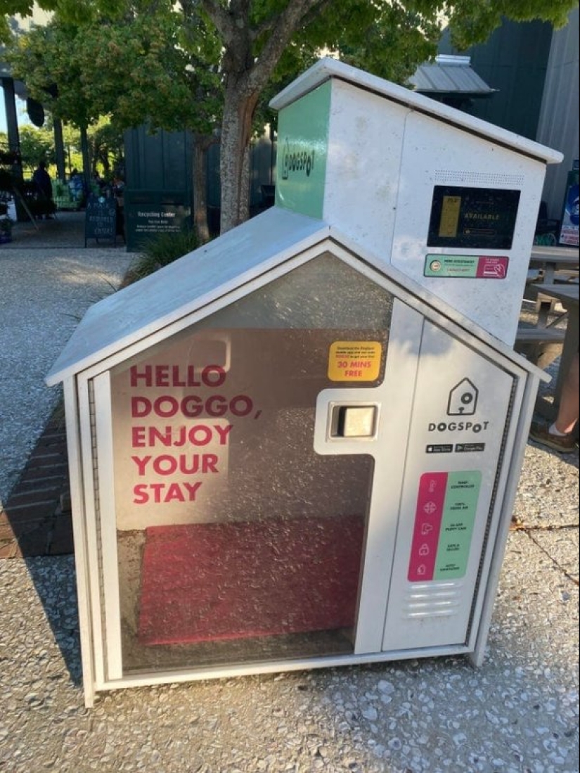 22 cosas inusuales creadas por diseñadores y artesanos para animales 22 cosas inusuales creadas por diseñadores y artesanos para animales