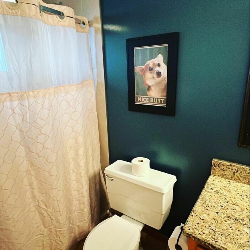 22 cositas y decoración divertidas que hicieron reír y deleitar a los dueños de la casa