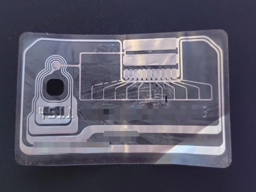 22 curious photos showing the inner world of different things