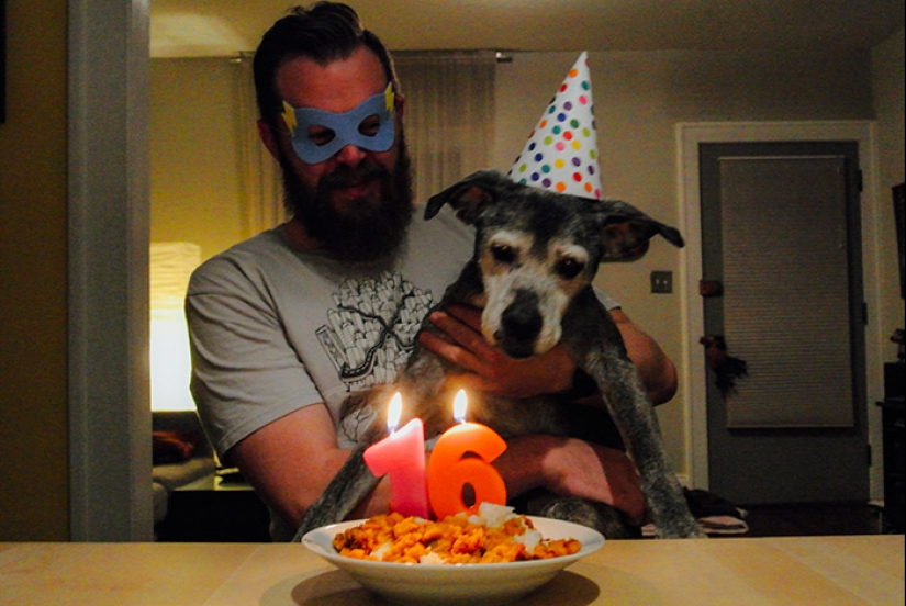 22 cute photos of dogs on their birthday that will amuse you
