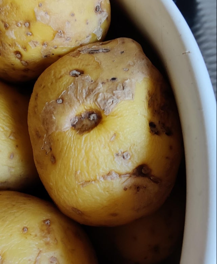 22 divertidas ilusiones ópticas de la vida cotidiana 22 divertidas ilusiones ópticas de la vida cotidiana