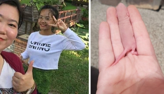 22 ejemplo de enmascaramiento, que es difícil de explicar la coincidencia