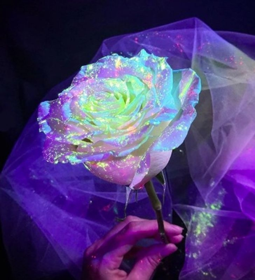 22 ejemplos de cómo el mundo circundante cambia bajo una lámpara ultravioleta 22 ejemplos de cómo el mundo circundante cambia bajo una lámpara ultravioleta