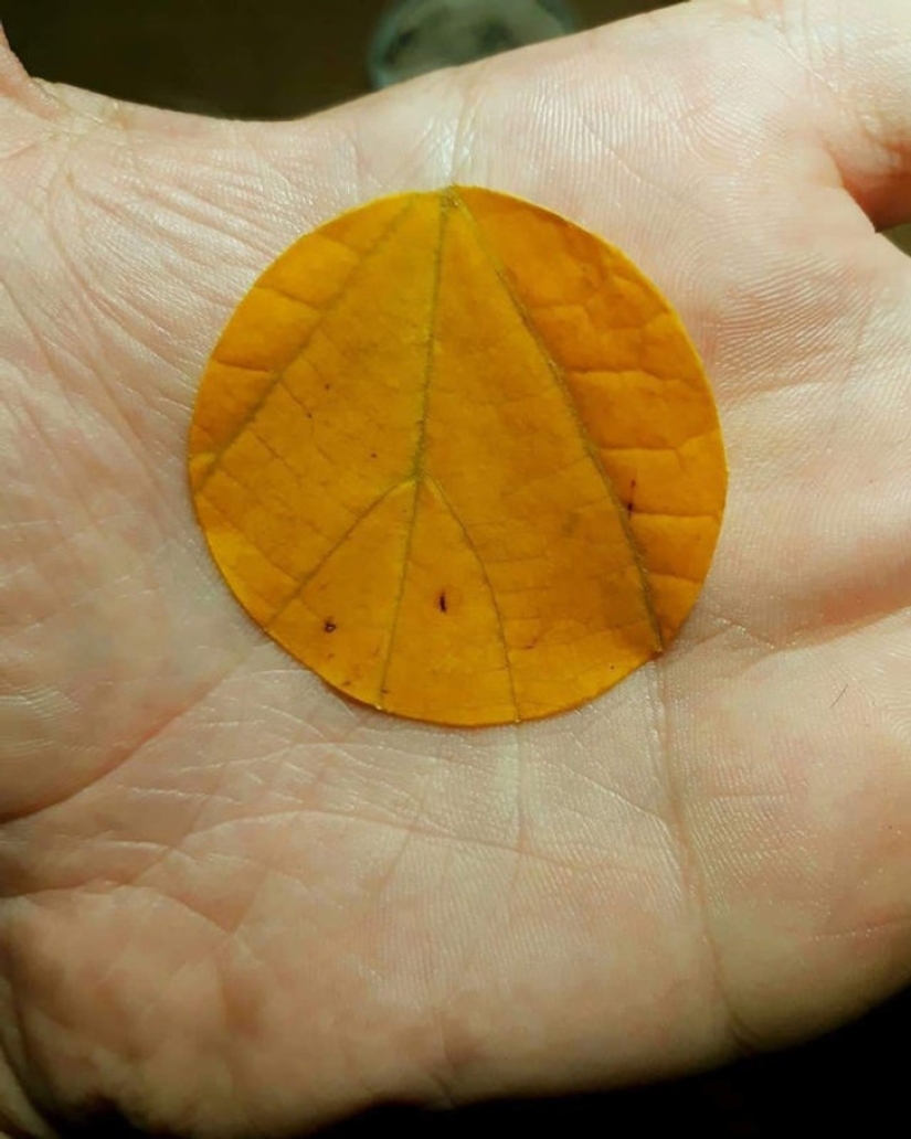 22 ejemplos de placer visual para verdaderos perfeccionistas 22 ejemplos de placer visual para verdaderos perfeccionistas