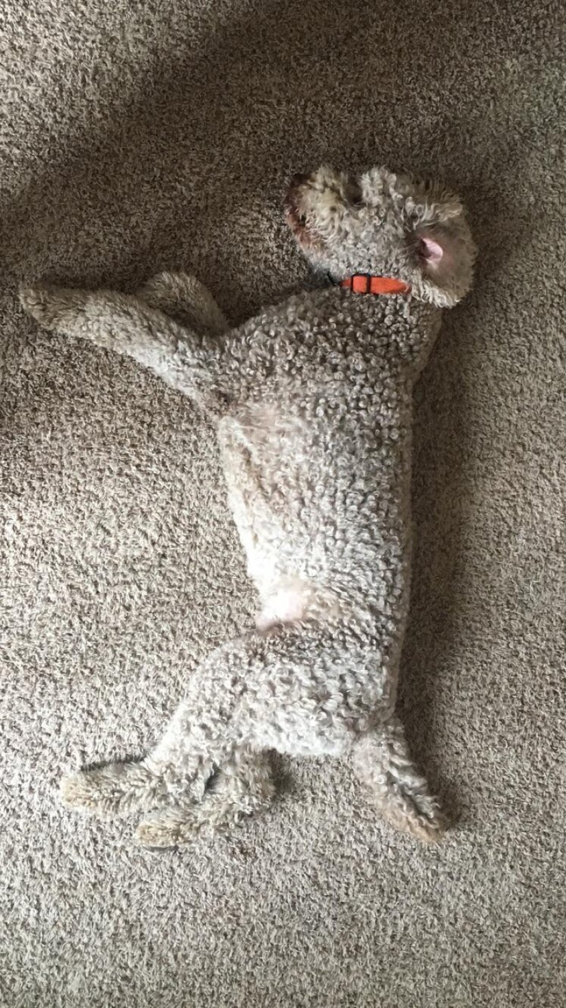 22 ejemplos de placer visual para verdaderos perfeccionistas 22 ejemplos de placer visual para verdaderos perfeccionistas