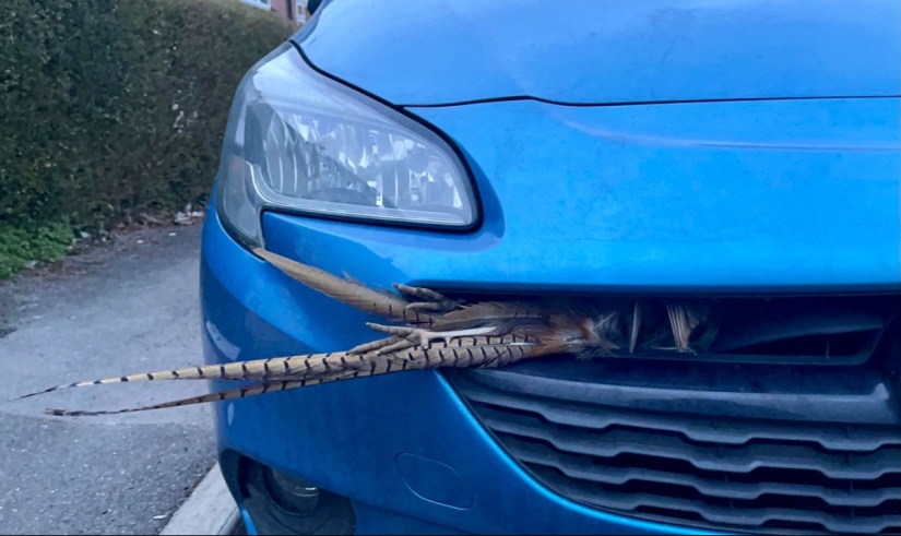 22 el problema surgido en nosotros