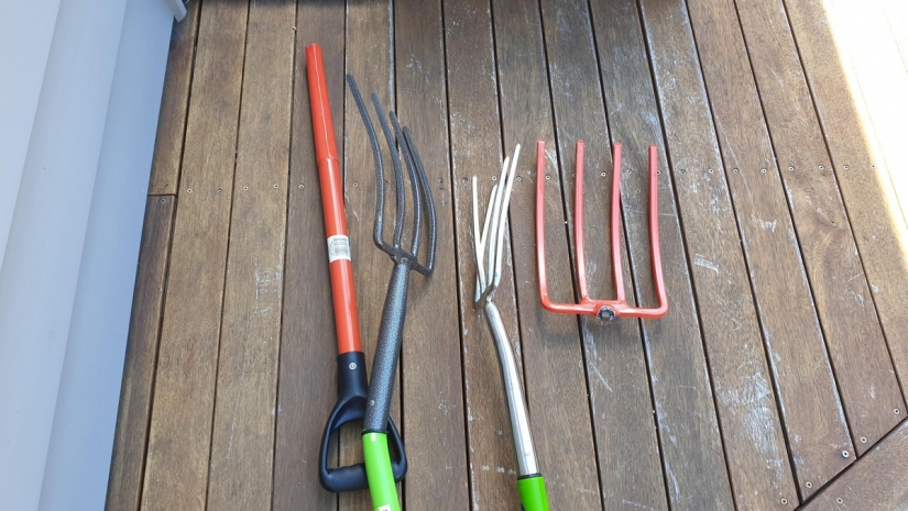 22 el problema surgido en nosotros