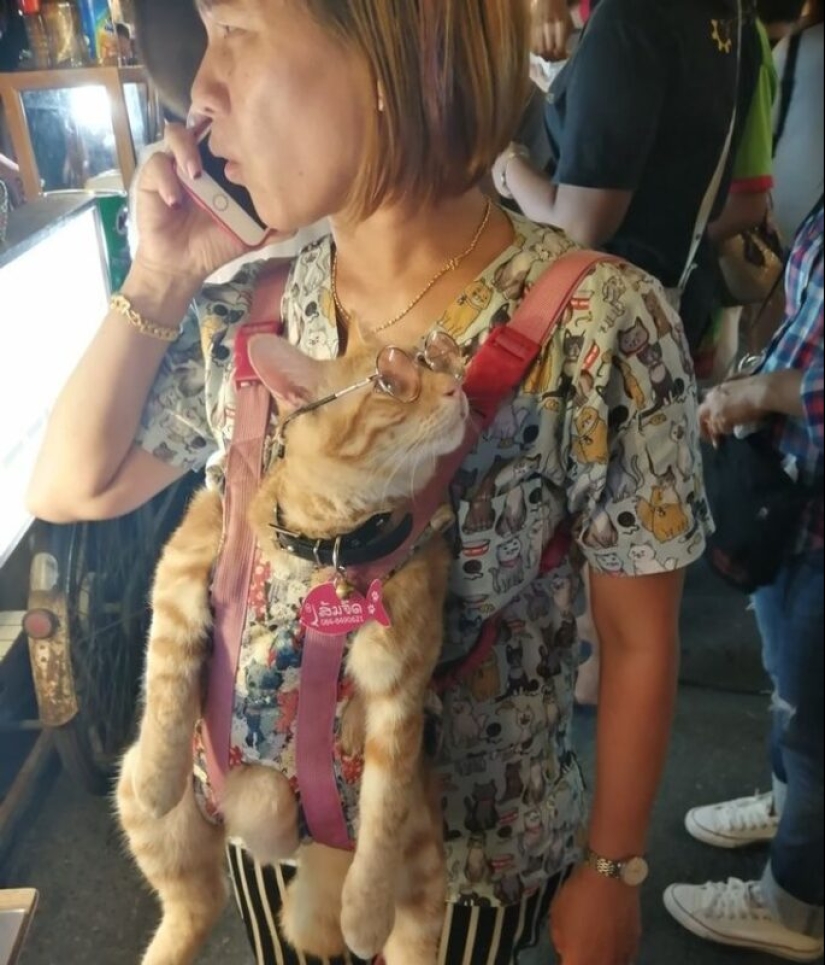 22 encuentros inolvidables que dejaron una impresión indeleble 22 encuentros inolvidables que dejaron una impresión indeleble