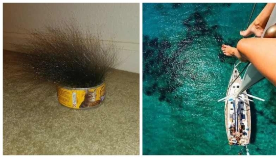 22 espeluznantes imágenes que han helada está en la piel 22 espeluznantes imágenes que han helada está en la piel