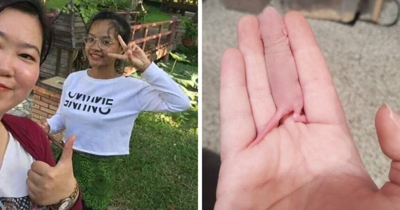 22 example of masking, which is difficult to explain the coincidence 22 example of masking, which is difficult to explain the coincidence