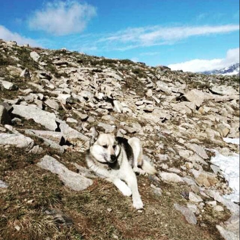 22 example of masking, which is difficult to explain the coincidence 22 example of masking, which is difficult to explain the coincidence