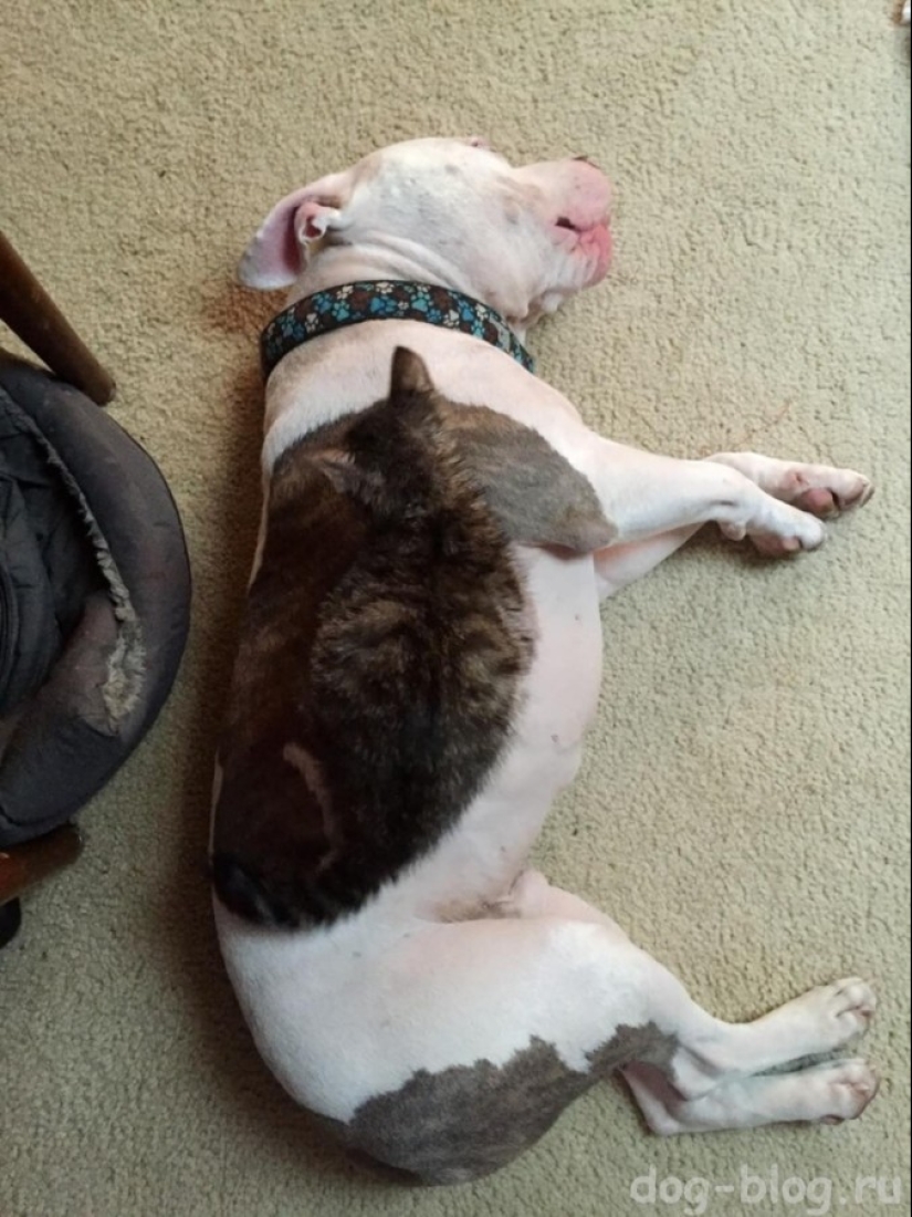 22 example of masking, which is difficult to explain the coincidence 22 example of masking, which is difficult to explain the coincidence