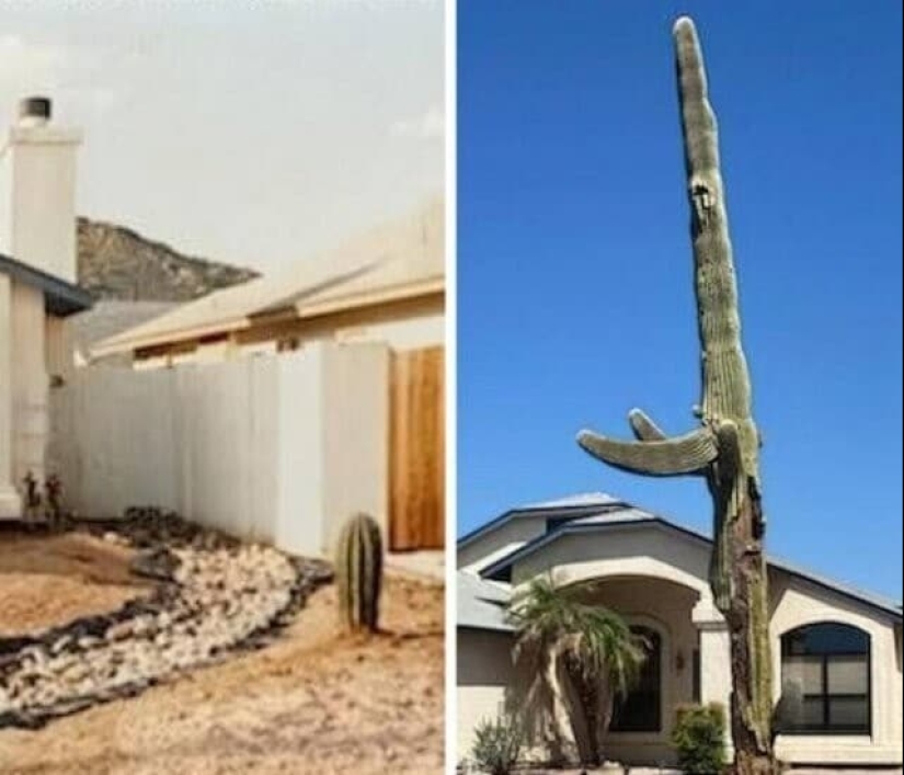 22 examples of frightening and inspiring traces of time