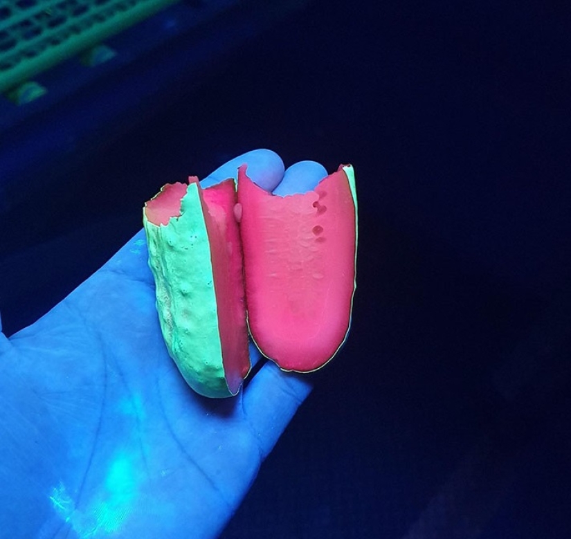 22 examples of how the surrounding world changes under an ultraviolet lamp 22 examples of how the surrounding world changes under an ultraviolet lamp