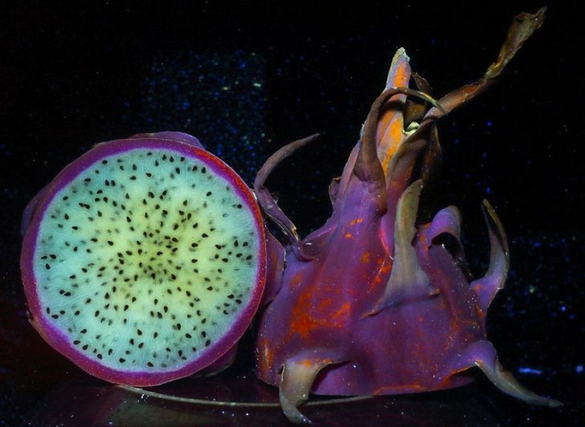 22 examples of how the surrounding world changes under an ultraviolet lamp 22 examples of how the surrounding world changes under an ultraviolet lamp