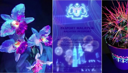 22 examples of how the surrounding world changes under an ultraviolet lamp 22 examples of how the surrounding world changes under an ultraviolet lamp