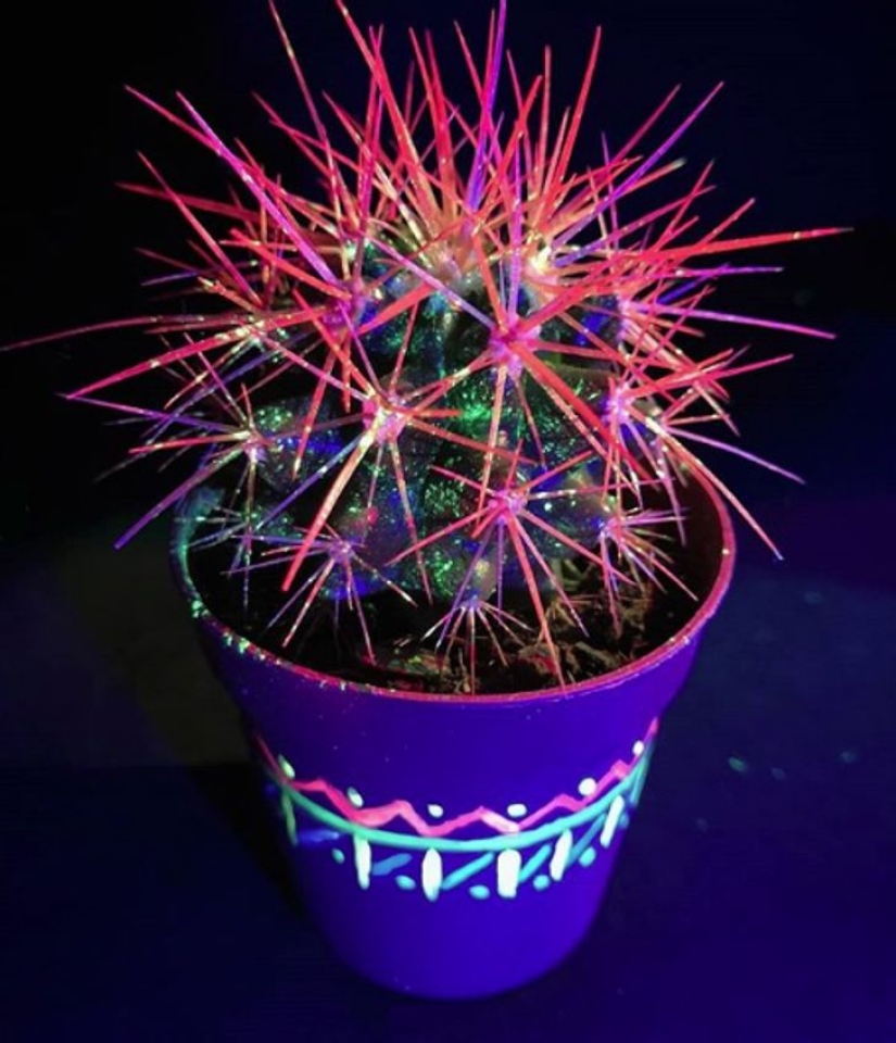 22 examples of how the surrounding world changes under an ultraviolet lamp 22 examples of how the surrounding world changes under an ultraviolet lamp