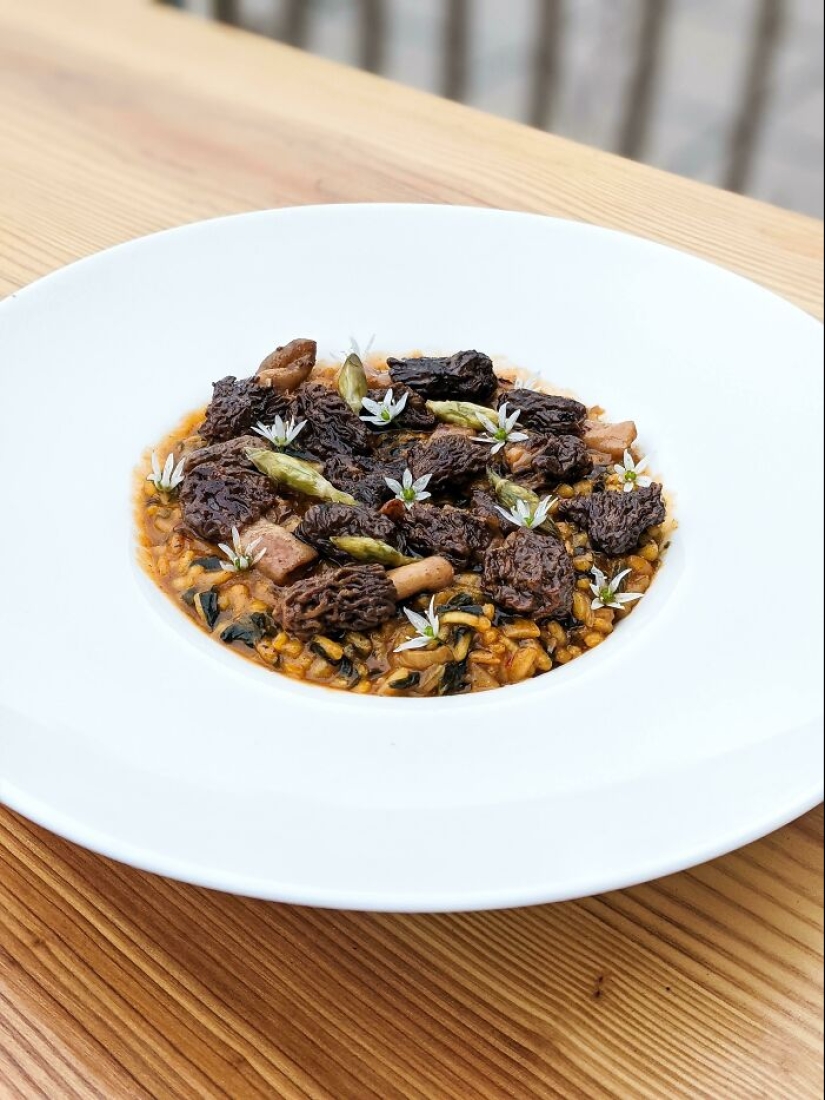 22 examples of incredibly beautiful serving of dishes that will definitely be appreciated by aesthetes 22 examples of incredibly beautiful serving of dishes that will definitely be appreciated by aesthetes