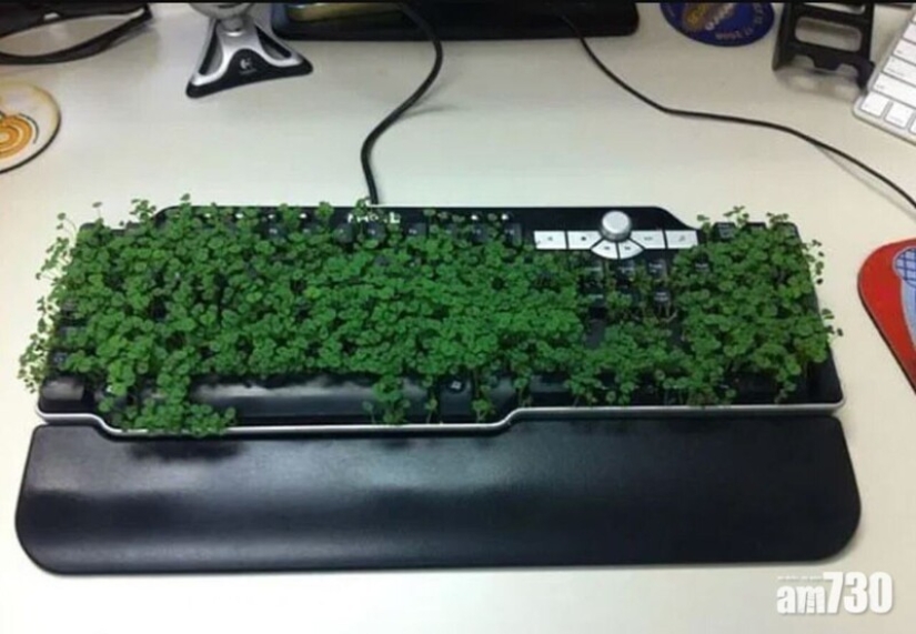 22 examples of the best office pranks and jokes