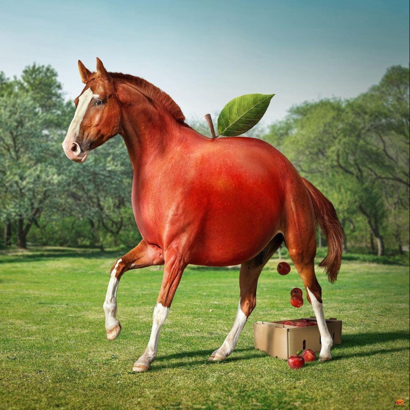 22 fantastic photo manipulations by digital surrealist Ingo Lindmeier 22 fantastic photo manipulations by digital surrealist Ingo Lindmeier