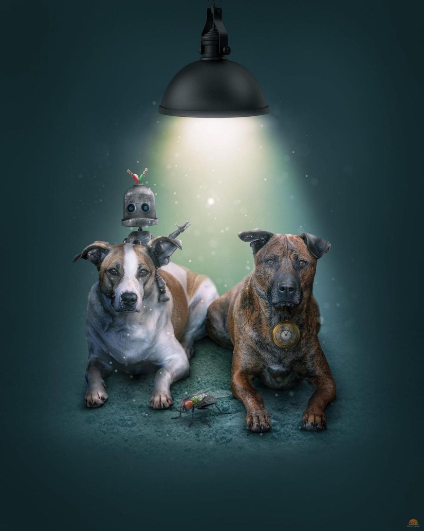 22 fantásticas manipulaciones fotográficas por el surrealista digital Ingo Lindmeier 22 fantásticas manipulaciones fotográficas por el surrealista digital Ingo Lindmeier