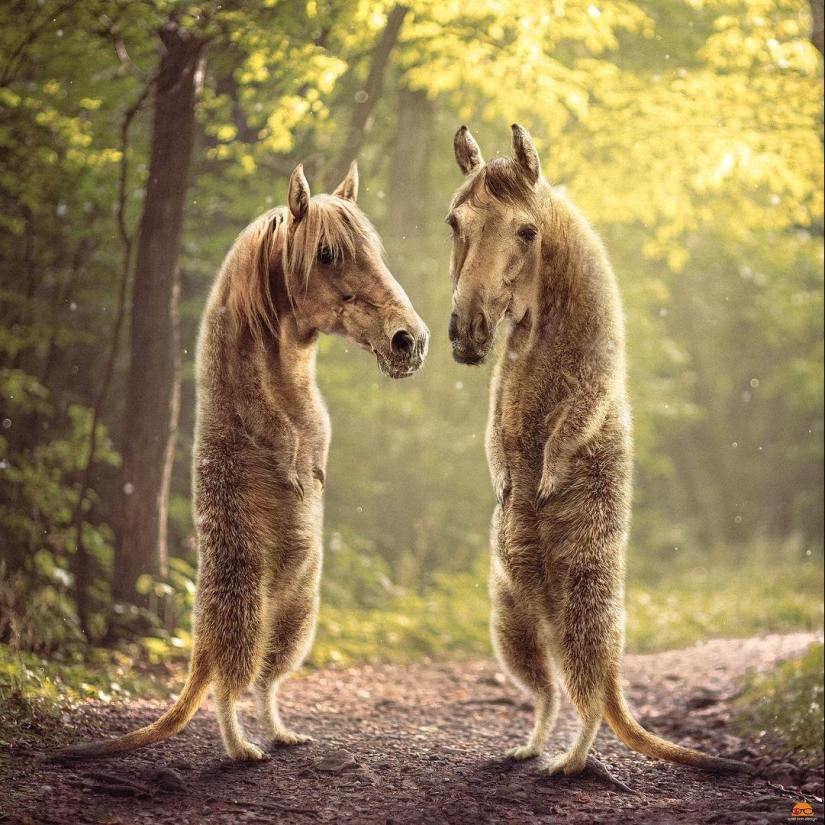 22 fantásticas manipulaciones fotográficas por el surrealista digital Ingo Lindmeier 22 fantásticas manipulaciones fotográficas por el surrealista digital Ingo Lindmeier