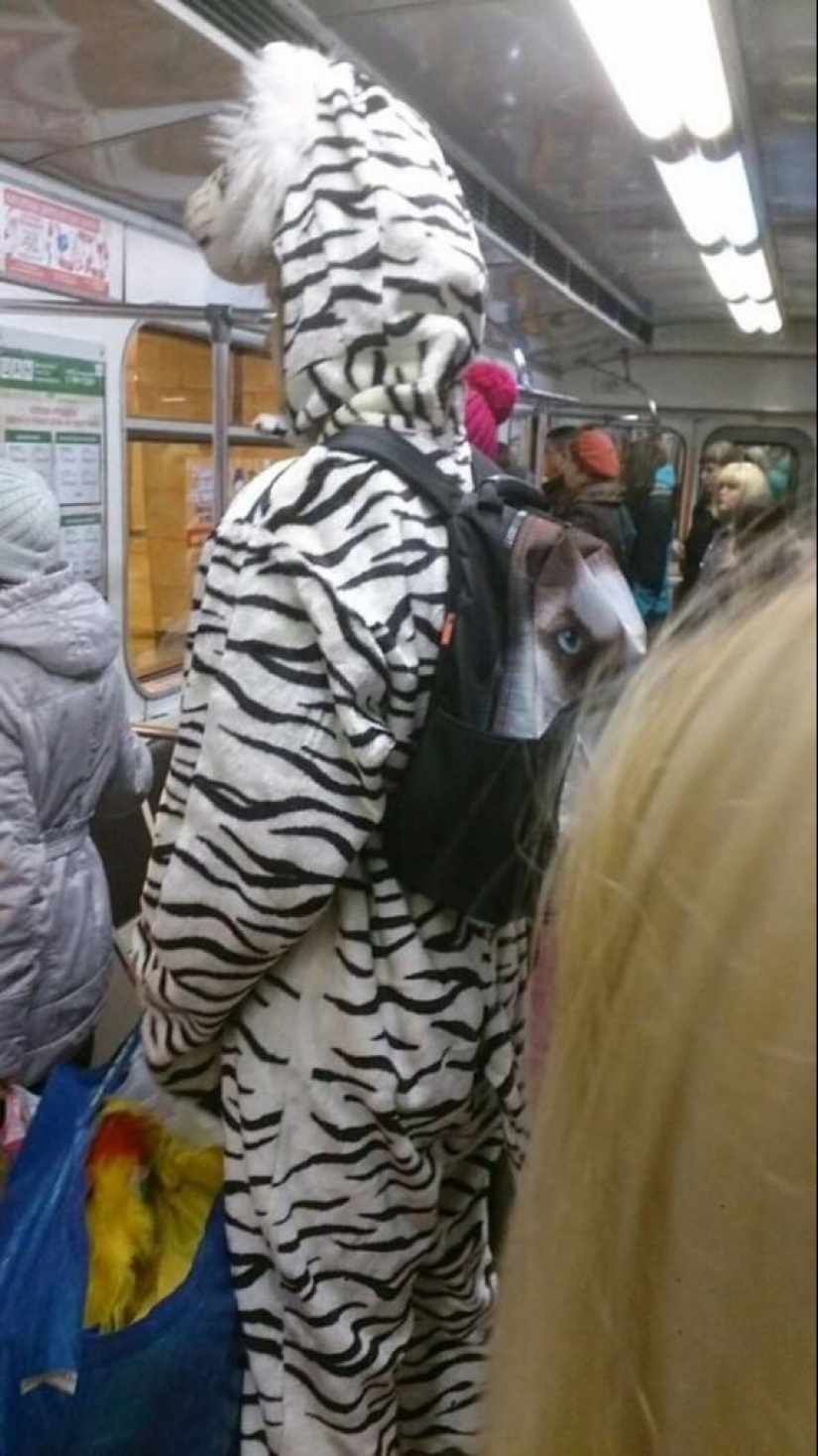 22 fashionistas y solo una excéntrica que solo se encuentran en el metro 22 fashionistas y solo una excéntrica que solo se encuentran en el metro