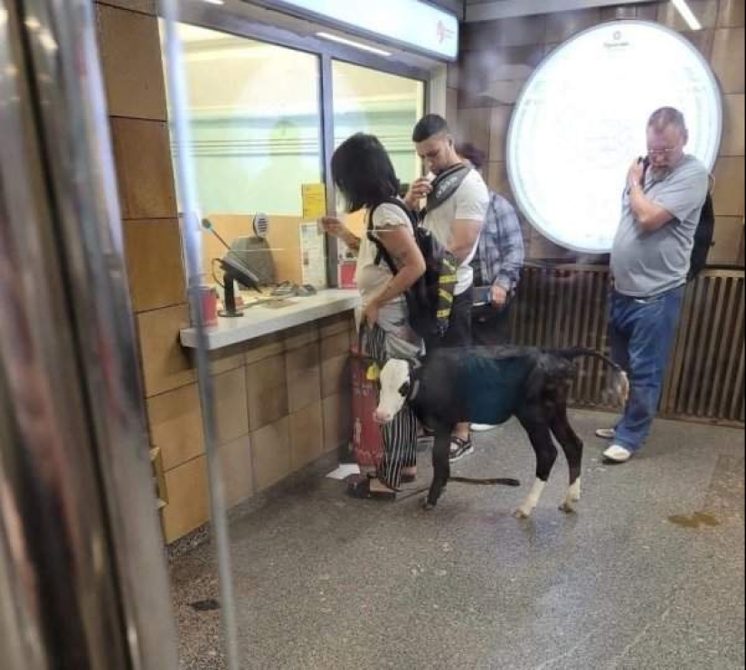 22 fashionistas y solo una excéntrica que solo se encuentran en el metro 22 fashionistas y solo una excéntrica que solo se encuentran en el metro