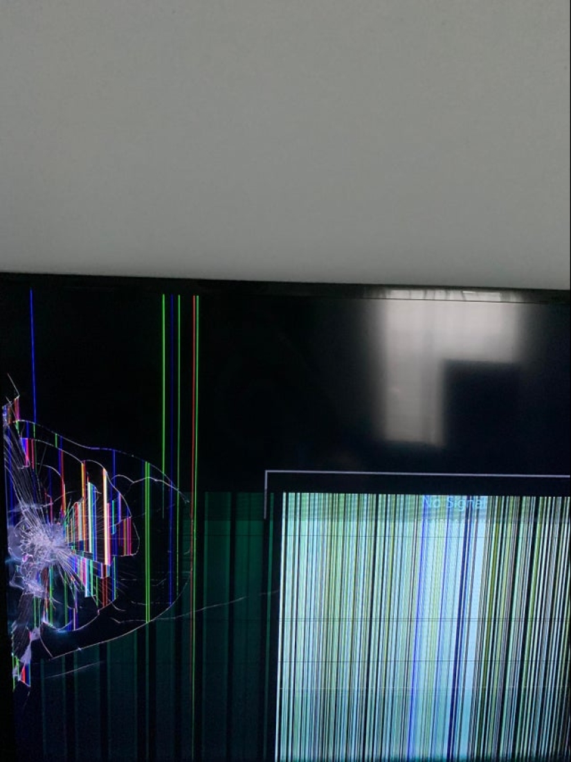 22 foto evidencia de que vivir con hermanos y hermanas no es aburrido en absoluto