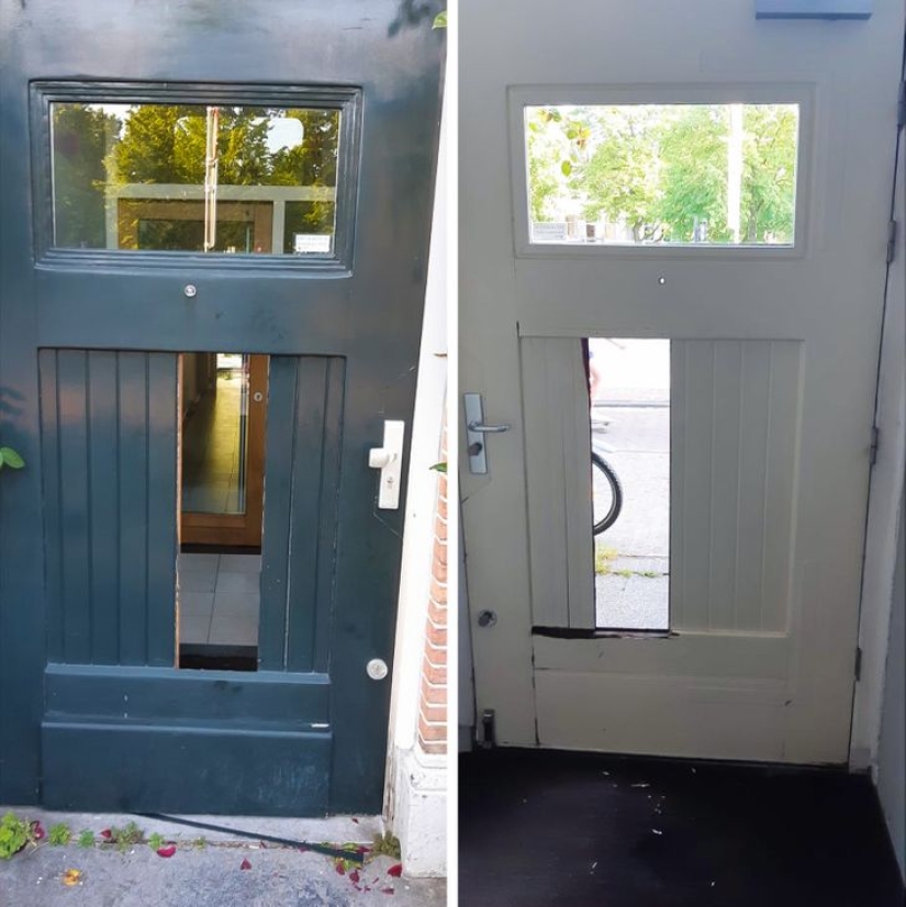 22 foto evidencia de que vivir con hermanos y hermanas no es aburrido en absoluto