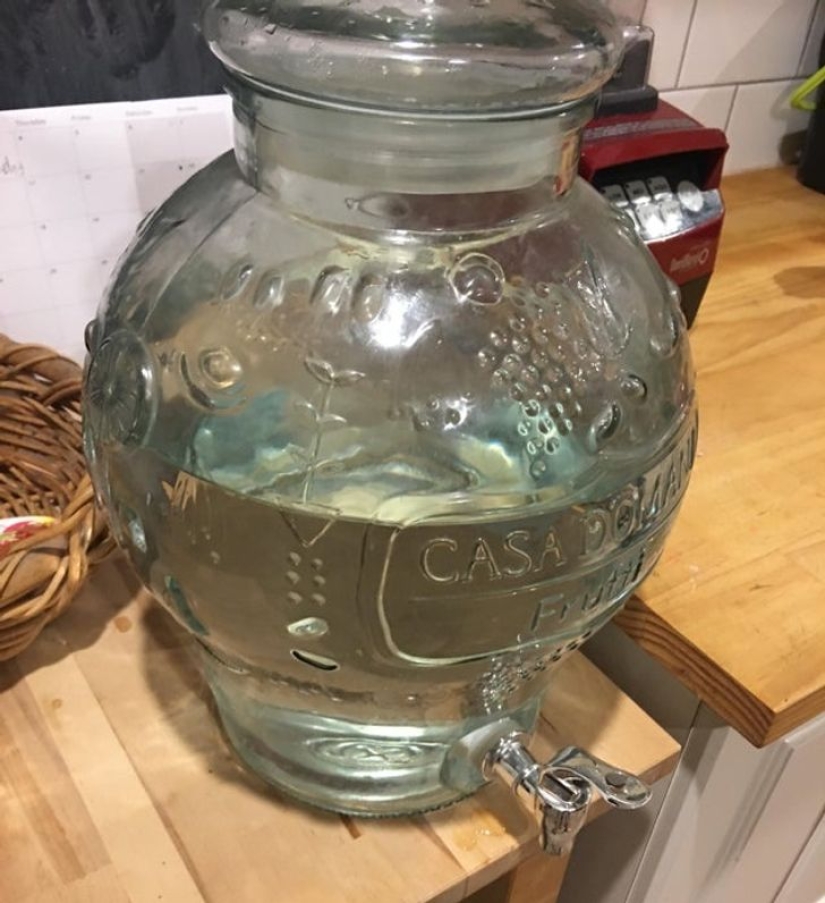 22 foto evidencia de que vivir con hermanos y hermanas no es aburrido en absoluto