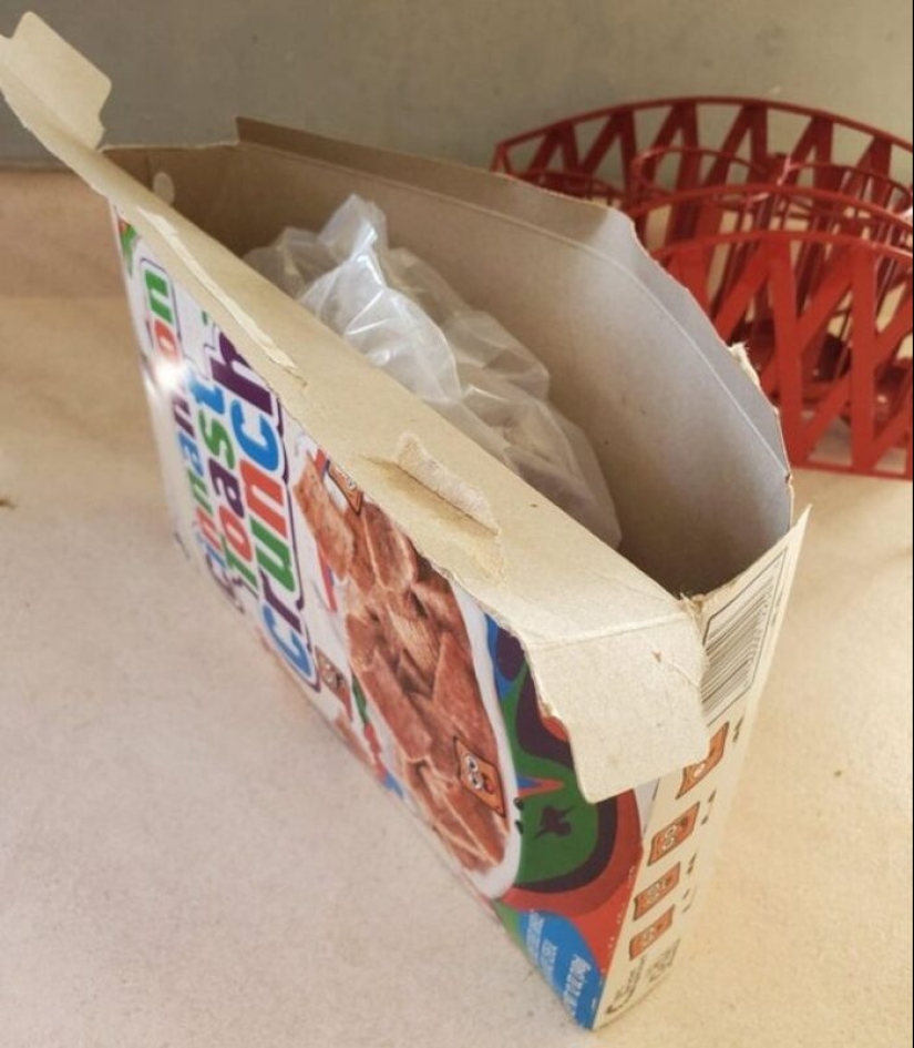 22 foto evidencia de que vivir con hermanos y hermanas no es aburrido en absoluto