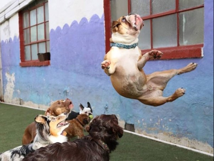 22 fotografías tomadas en el momento justo