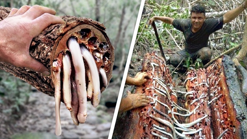 22 fotos aterradoras que te ponen la piel de gallina 22 fotos aterradoras que te ponen la piel de gallina