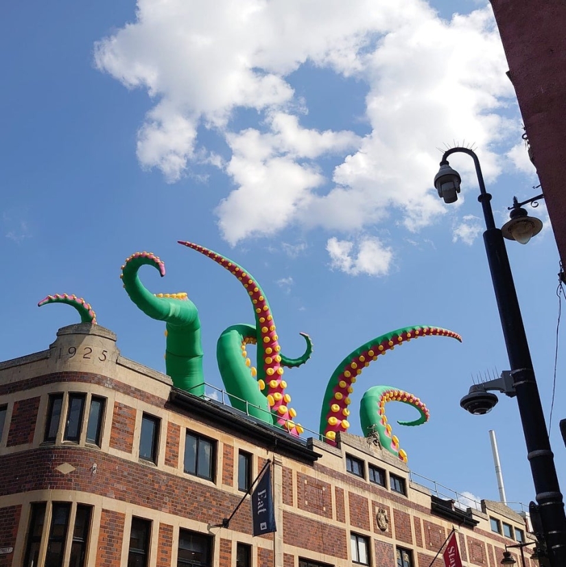 22 fotos aterradoras que te ponen la piel de gallina 22 fotos aterradoras que te ponen la piel de gallina