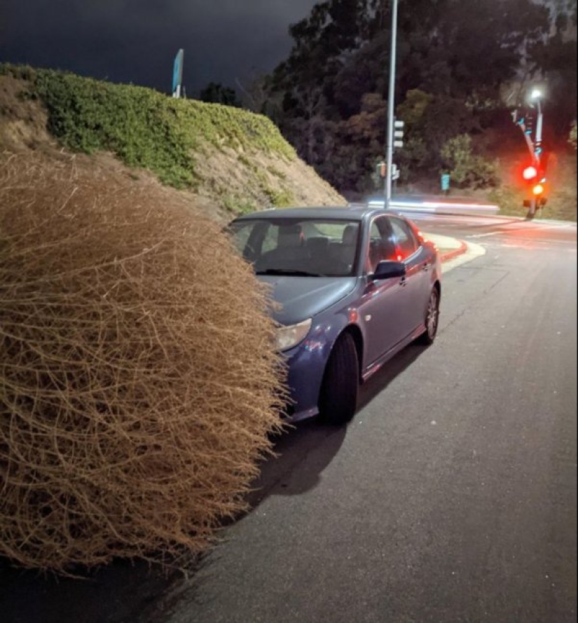 22 fotos de cosas enormes que prueban que todo es conocido en comparación