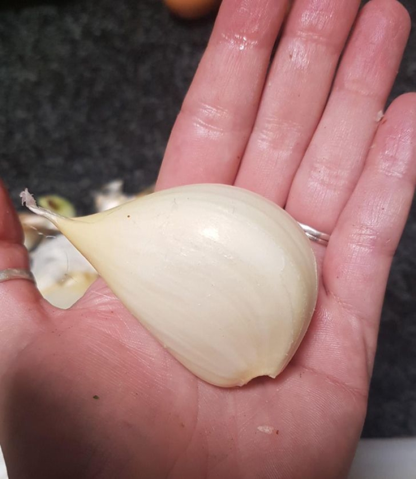 22 fotos de cosas enormes que prueban que todo es conocido en comparación